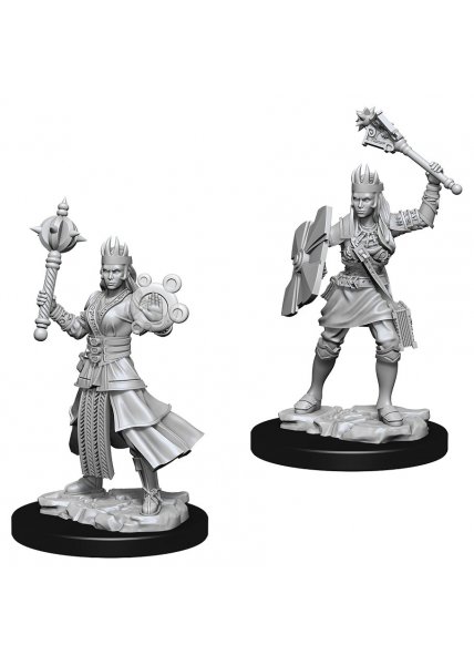 D&D Nolzur's Marvelous Unpainted Miniatures: Female Human Cleric